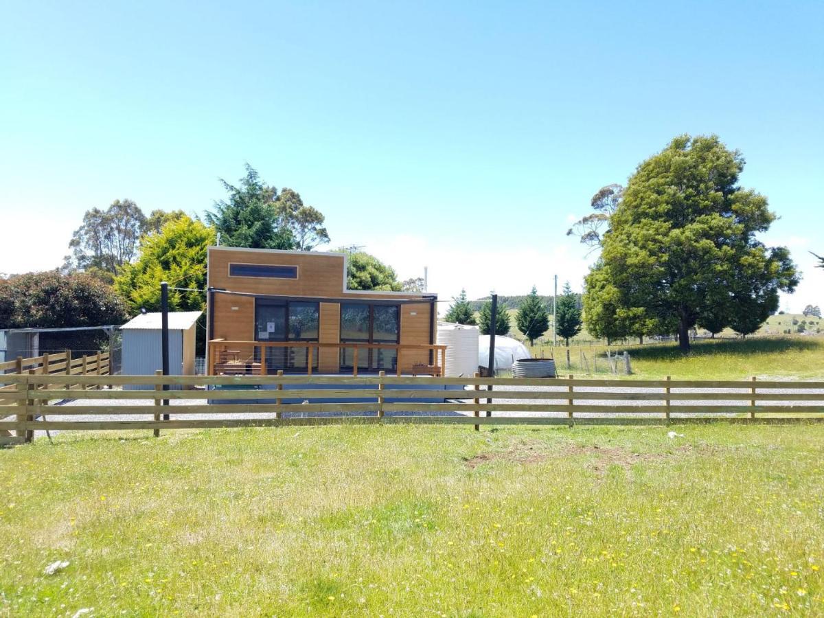 Tiny Cradle At The Good Place Staverton Exterior photo
